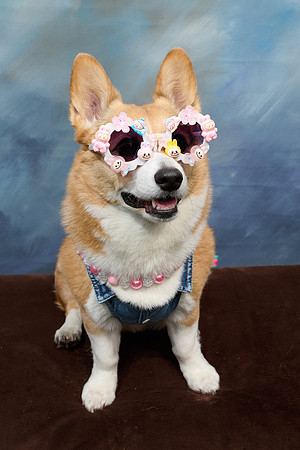Corgi Con 2025-1235