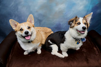 Corgi Con 2025-1245