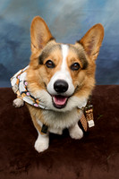 Corgi Con 2025-1252
