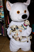 WAGGING TAILS 5TH ANNIVERSARY PHOTOS 11/7/15