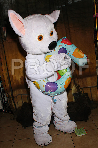 IMG_0346