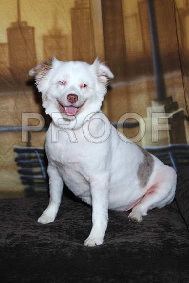 IMG_0325