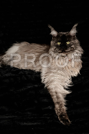 Tina photo session-1579