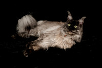 Tina photo session-1570