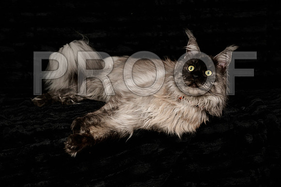 Tina photo session-1570
