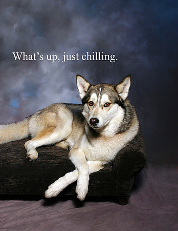 IMG_0057 just chilling copy