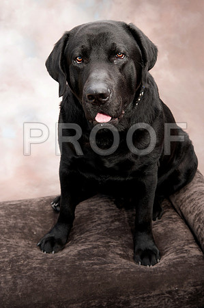 700_8709 max