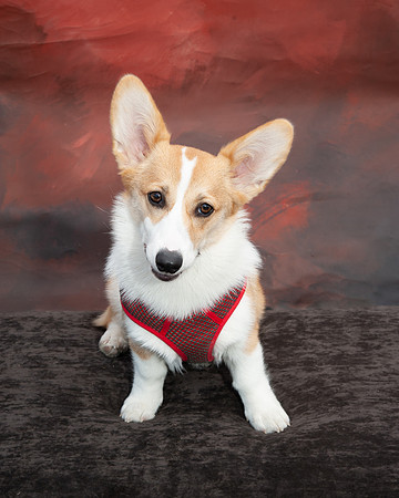 700_9100